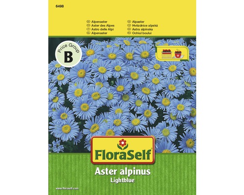FloraSelf semințe de flori Ochiul boului "Aster alpinus"