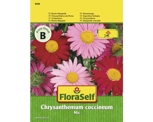 FloraSelf semințe de margarete "Chrysanthemum coccineum"