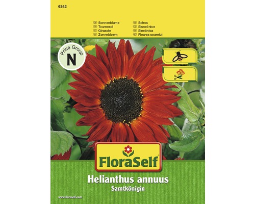 FloraSelf semințe de floarea-soarelui "Regina de catifea"
