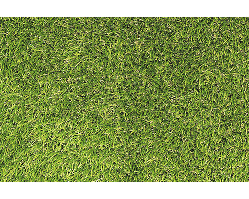 Mochetă iarbă Aurora verde 200 cm lățime (la metru)