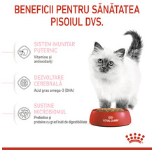 Hrană uscată pentru pisici junior Royal Canin Kitten 10 kg-thumb-3