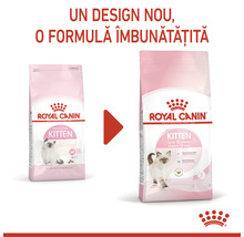 Hrană uscată pentru pisici junior Royal Canin Kitten 10 kg-thumb-8