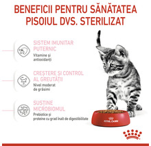 Hrană uscată pentru pisici Royal Canin Kitten Sterilised 2 kg-thumb-3