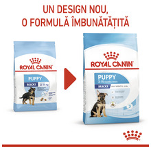 Hrană uscată pentru câini Royal Canin Maxi Puppy 15 kg-thumb-8