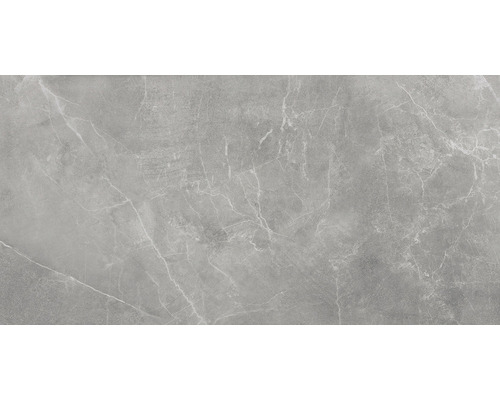 Gresie interior porțelanată Stonemood Silver rectificată 59,7x119,7 cm