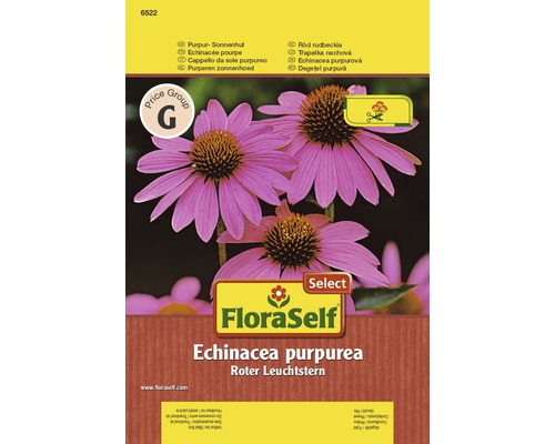 FloraSelf semințe de "Echinacea purpurea"