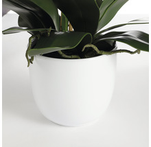 Floare artificială, orhidee, 100 cm, albă-thumb-3