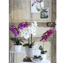 Floare artificială, orhidee, 60 cm, violet-thumb-3