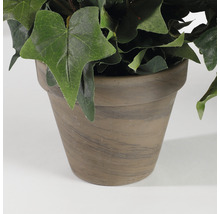 Plantă artificială, iederă, înălțime 25 cm, verde-thumb-2