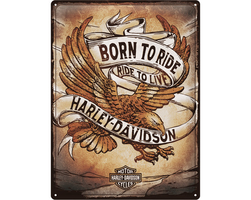 Tablou metalic decorativ Born to Ride Eagle 30x40 cm