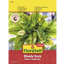 FloraSelf semințe de salată, măcriş sângeriu-thumb-0