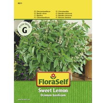 FloraSelf semințe de busuioc "Zitronen-Sweet"-thumb-0
