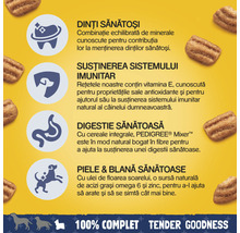 Hrană uscată pentru câini Pedigree Adult Tender Goodness cu pui 900 g-thumb-5