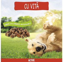 Hrană uscată pentru câini PURINA Friskies Adult Active cu vită 15 kg-thumb-5