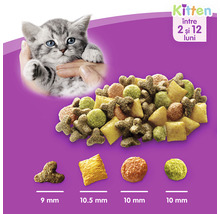 Hrană uscată pentru pisici Whiskas Junior cu pui 14 kg-thumb-1