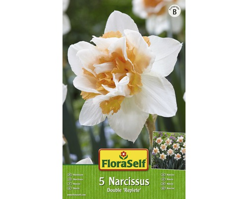 Bulbi FloraSelf® narcise Double 'Replete' alb-portocaliu 5 buc-0