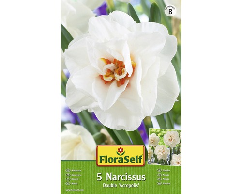 Bulbi FloraSelf® narcise Double 'Acropolis' alb-portocaliu 5 buc-0