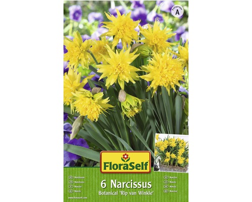 Bulbi FloraSelf® narcise Botanica 'Rip van Winkle' galben 5 buc-0