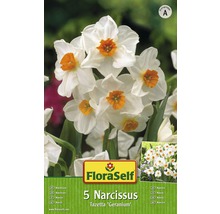 Bulbi FloraSelf® narcise Tazetta 'Geranium' alb-portocaliu-roșu 5 buc-thumb-0
