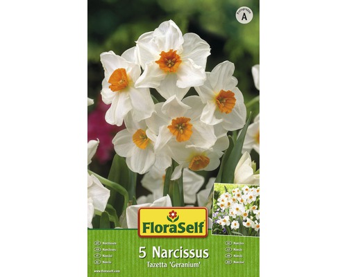 Bulbi FloraSelf® narcise Tazetta 'Geranium' alb-portocaliu-roșu 5 buc-0