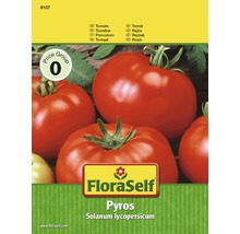 FloraSelf semințe de roşii Pyros-thumb-0