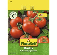 FloraSelf semințe de roşii Hofmanns Rentita-thumb-0