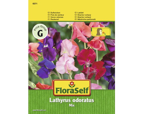 FloraSelf mix seminţe de flori Lathyrus (măzăriche parfumată)-0