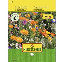 Mix semințe pentru flori FloraSelf 'Amestec flori de vară pitice'-thumb-0