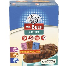Hrană umedă pentru pisici MR. BEEF Adult cu vită și iepure/pui și curcan/somon și păstrăv în aspic 12x100 g-thumb-0