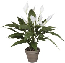 Floare artificială Spathiphyllum Ø 40 cm H 50 cm alb-thumb-0