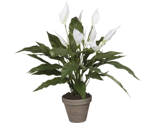 Floare artificială Spathiphyllum Ø 40 cm H 50 cm alb-0