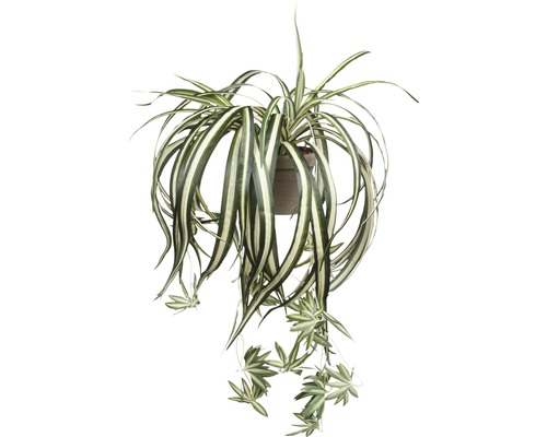 Plantă artificială, Chlorophytum, verde