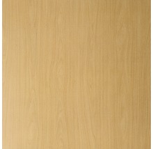 Foaie de ușă fag Topdecor 73,5x198,5 cm dreapta LA-G3 (Nu include sticla)-thumb-1