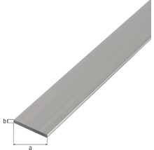 Platbandă aluminiu Alberts 25x2 mm, lungime 1m, pentru decorațiuni-thumb-1