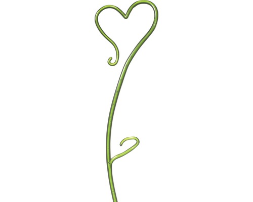 Tijă pentru orhidee Soendgen, h 55 cm, verde