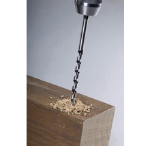 Burghiu pentru grinzi de lemn Alpen Ø10x235 mm-thumb-2
